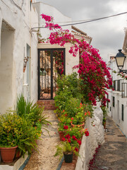 Fototapeta na wymiar Frigliana costa Del Sol Spain close up view of the narrow streets flora with potted plants