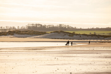 Fototapeta na wymiar Winter beach scene with dog walkers in the distance