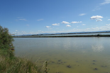 saline di cervia