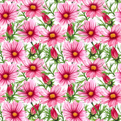 Watercolor wild flowers illustration. Hand Drawn seamless pattern with cosmos flowers and leaves.