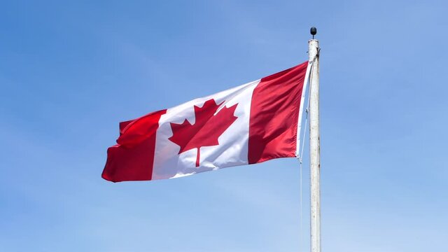 Canadian flag waving against blue sky. Static, low angle, slomo
