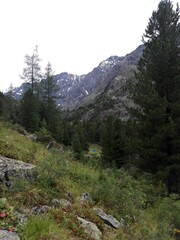 Obraz premium Mountains with glaciers