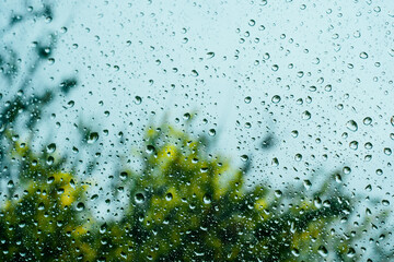 Rain drops on window pane glass surface