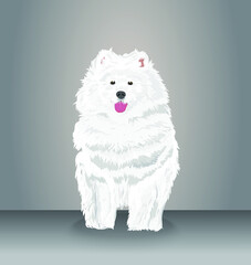 Samoyed The Dog - Vector and Illustration