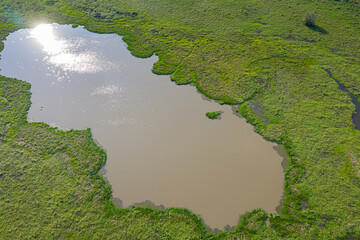 Aerial view of Swamp with green field, Pantanal Brazil 