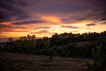 sunset over the field