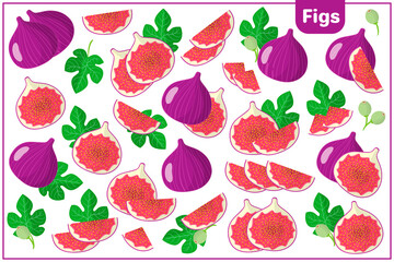 Set of vector cartoon illustrations with Figs exotic fruits, flowers and leaves isolated on white background