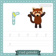 Letter R lowercase tracing practice worksheet of Red Panda