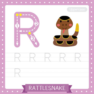 Letter R uppercase tracing practice worksheet of Curled up Rattlesnake