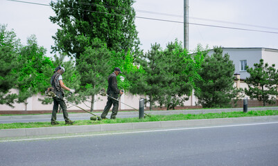 Fototapeta premium Workers mow grass with lawn mowers.