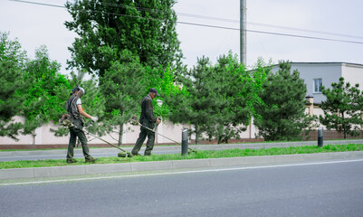 Workers mow grass with lawn mowers.