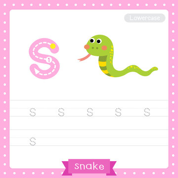 Letter S lowercase tracing practice worksheet of Green Snake