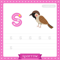 Letter S lowercase tracing practice worksheet of Sparrow bird