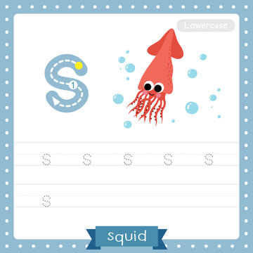 Letter S lowercase tracing practice worksheet of Squid
