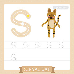Letter S uppercase tracing practice worksheet of Serval Cat