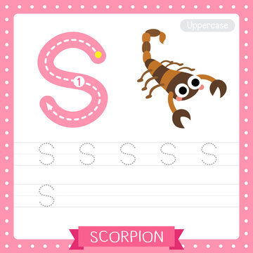 Letter S uppercase tracing practice worksheet of Scorpion