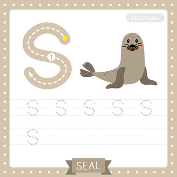 Letter S uppercase tracing practice worksheet of Seal