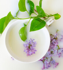 milk bath with lilac flowers. creative minimalistic concept of relax. top view.