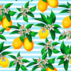 Seamless citrus vector pattern on striped background. Hand drawn illustration with lemons.