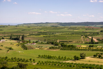 Obraz premium Paysage rural