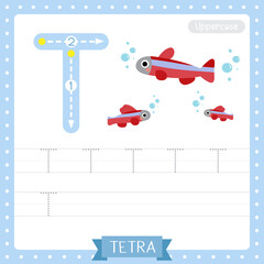 Letter T uppercase tracing practice worksheet of Tetra fish