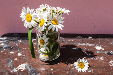 Bouquet of daisies in a glass jar on a wooden background against a pink wall. The concept of cleanliness, skin care, cosmetics and perfume.