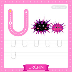 Letter U uppercase tracing practice worksheet of Urchin