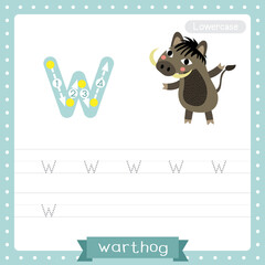 Letter W lowercase tracing practice worksheet of Warthog