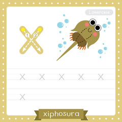 Letter X lowercase tracing practice worksheet of Xiphosura
