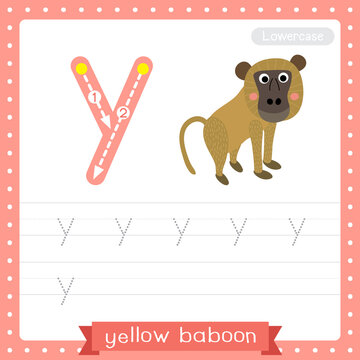 Letter Y lowercase tracing practice worksheet of Yellow Baboon monkey