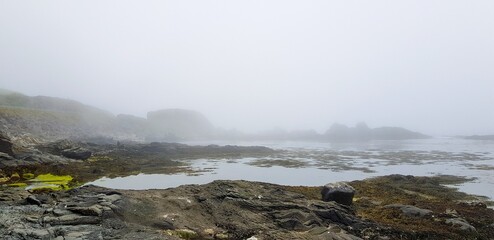 fog over the river