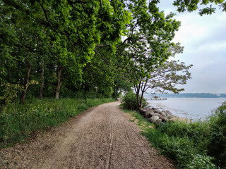 Forest path on the edge of the Baltic Sea at cloudy summer day