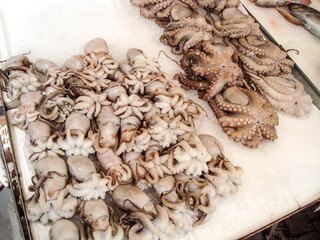 seafood. octopus on market stall