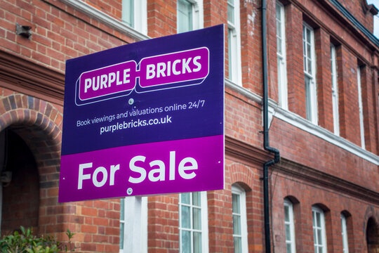 purple-bricks-739