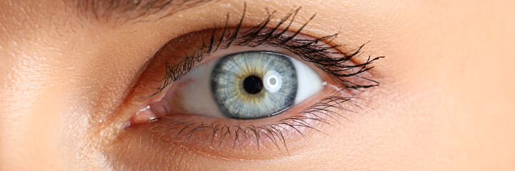 Amazing female blue and green colored eye