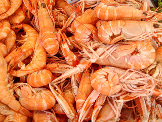 seafood. fresh shrimps on the market