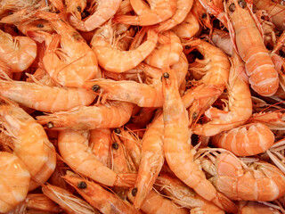 seafood. fresh shrimps on the market