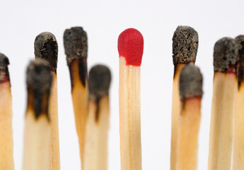 Unlit match and  burned matches