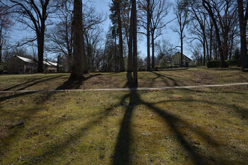 アメリカの郊外住宅地：グリーンベルトの街並み