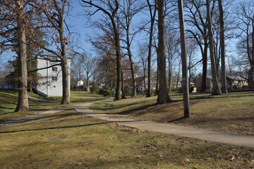 Obraz premium アメリカの郊外住宅地：グリーンベルトの街並み