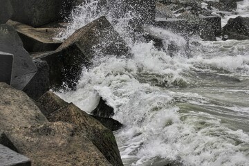 fale © Anya Photography