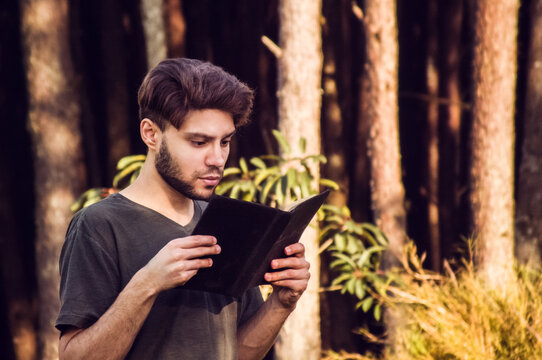 young man reading a book in florest at sunset