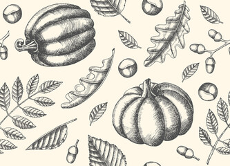 Autumn seamless pattern with  Hand drawn leaves and pumpkins. Leaves of maple, birch, chestnut, acorn, ash tree, oak. Sketch.  For wallpaper, web page background
