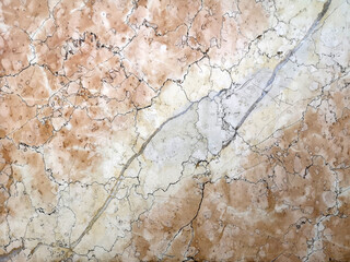 very old and rare under water shell surface marble stone