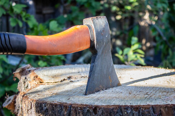 An old ax with an orange handle sticks out in a sawn tree