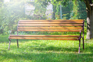 wooden bench in a park or garden on a background of green trees