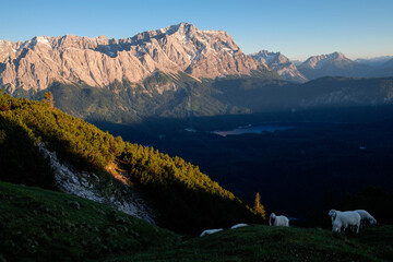 Fototapeta na wymiar Zauberhafte Garmischer Berge im Abendlicht