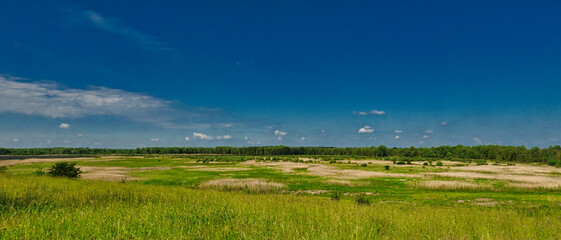 WIDOK NA ROZLEGŁĄ ŁĄKĘ. PANORAMA