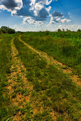 Fototapeta na wymiar Droga polna przez pola upraw. Tereny wiejskie