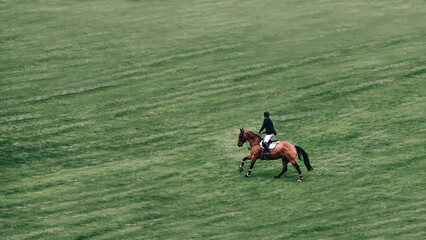 Overhead view of a jockey training a thoroughbred chestnut horse (Equus ferus) in a grassland